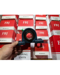 BẠC ĐẠN UCP207 HIỆU FBJ CHÍNH HÃNG - PHAN NHÂN.