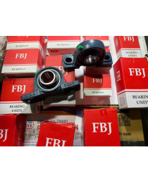 BẠC ĐẠN, VÒNG BI FBJ UCP CHÍNH HÃNG TẠI BÌNH DƯƠNG.