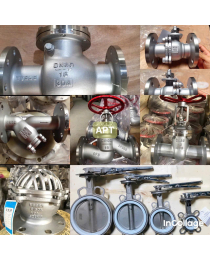 VAM BƯỚM INOX - VAN CHỮ NGÃ, RỌ BƠM - PHAN NHÂN.