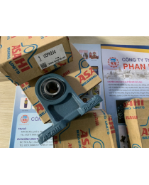 VÒNG BI, BẠC ĐẠN GỐI ĐỠ UCPH208, UCPH209, UCPH210, UCPH212 - CTY PHAN NHÂN.